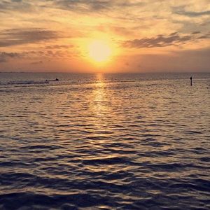 Meet your Posher, Cheyanne